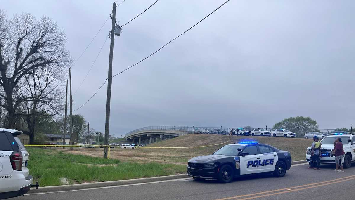 Suspect shot, killed by deputy after police chase ends in Birmingham