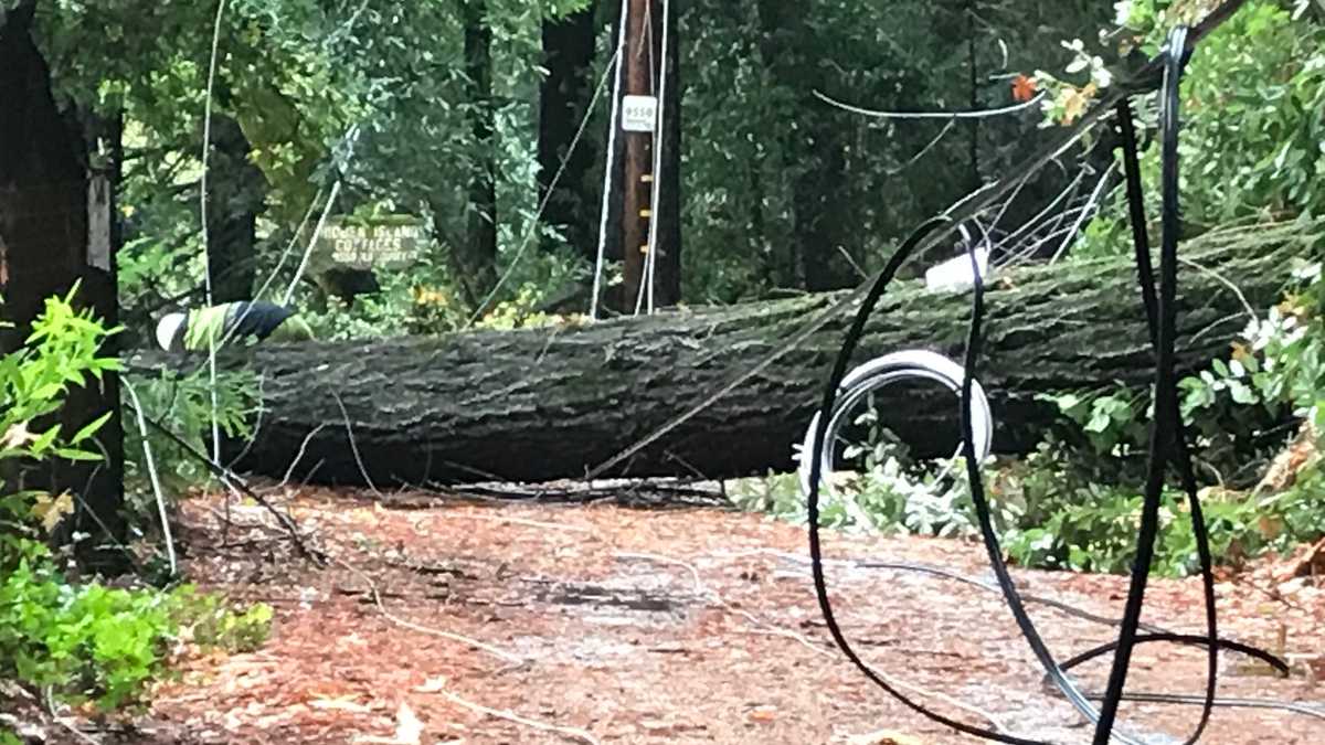 Tree falls cause damage in the Santa Cruz Mountains