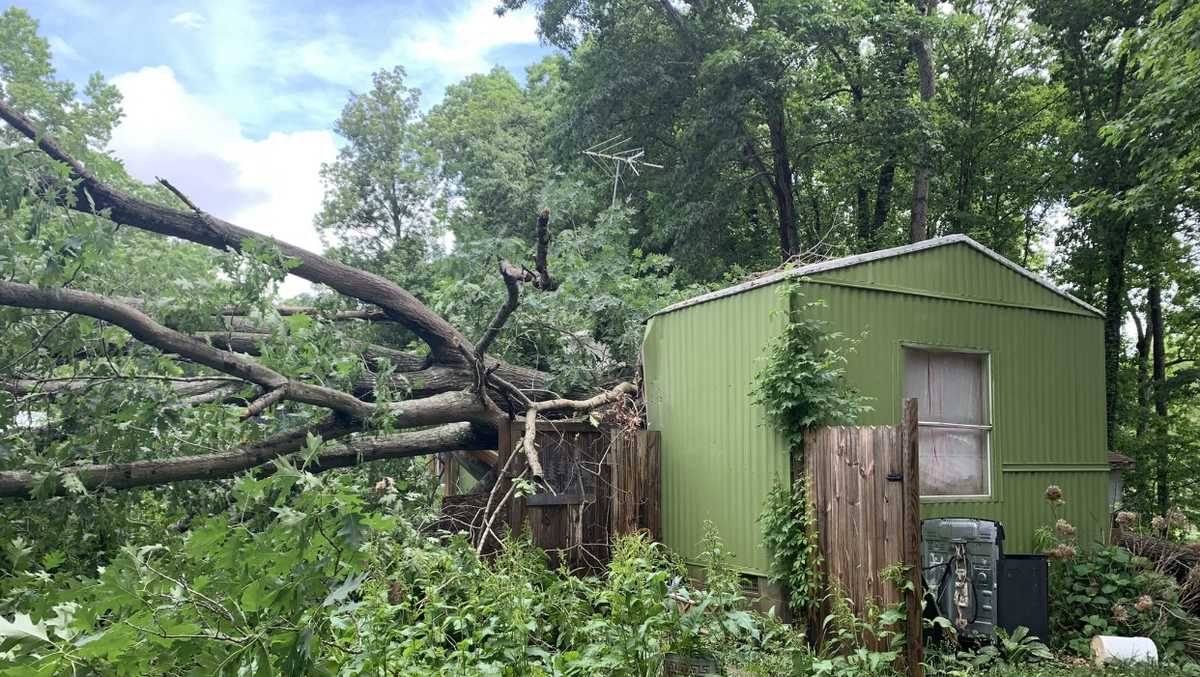 Large tree falls on Walkertown home during Thursday night's storm