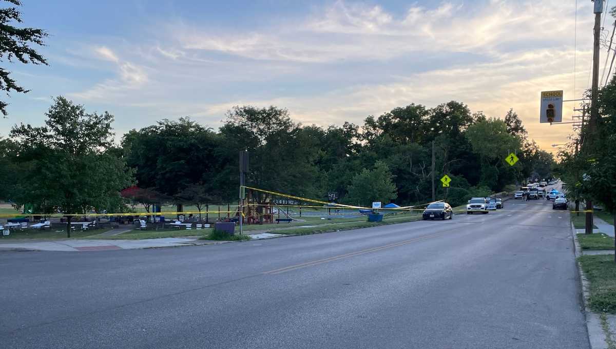 5 folks hospitalized after Saturday park taking pictures in Madisonville