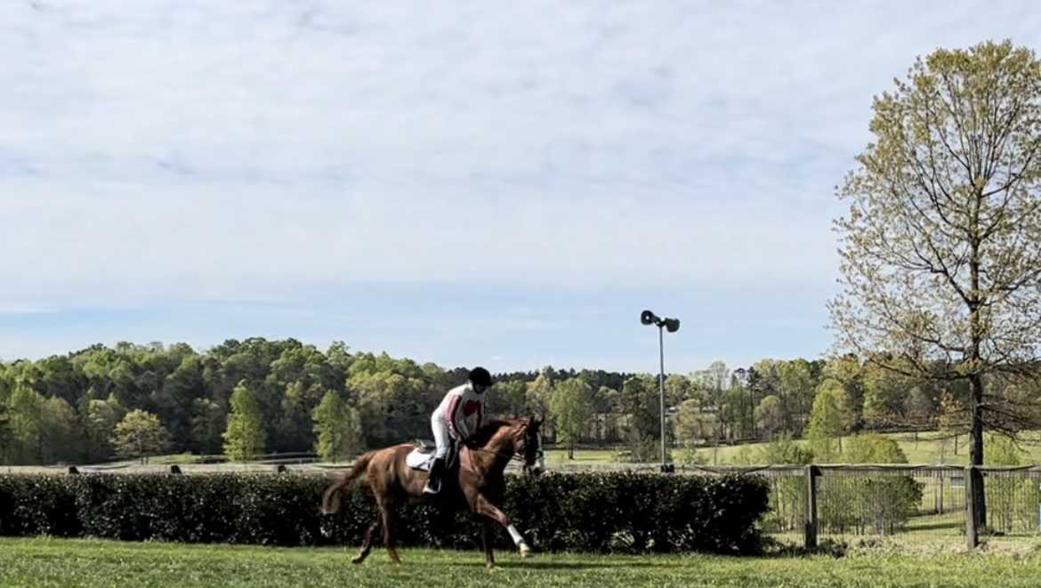 Annual Blockhouse Steeplechase returns to Polk County, NC
