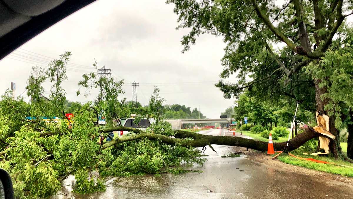 Photos: Tuesday's thunderstorm damage