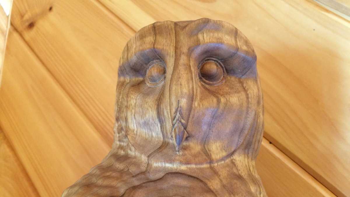 Photos Maine sculptor turns wood into works of art