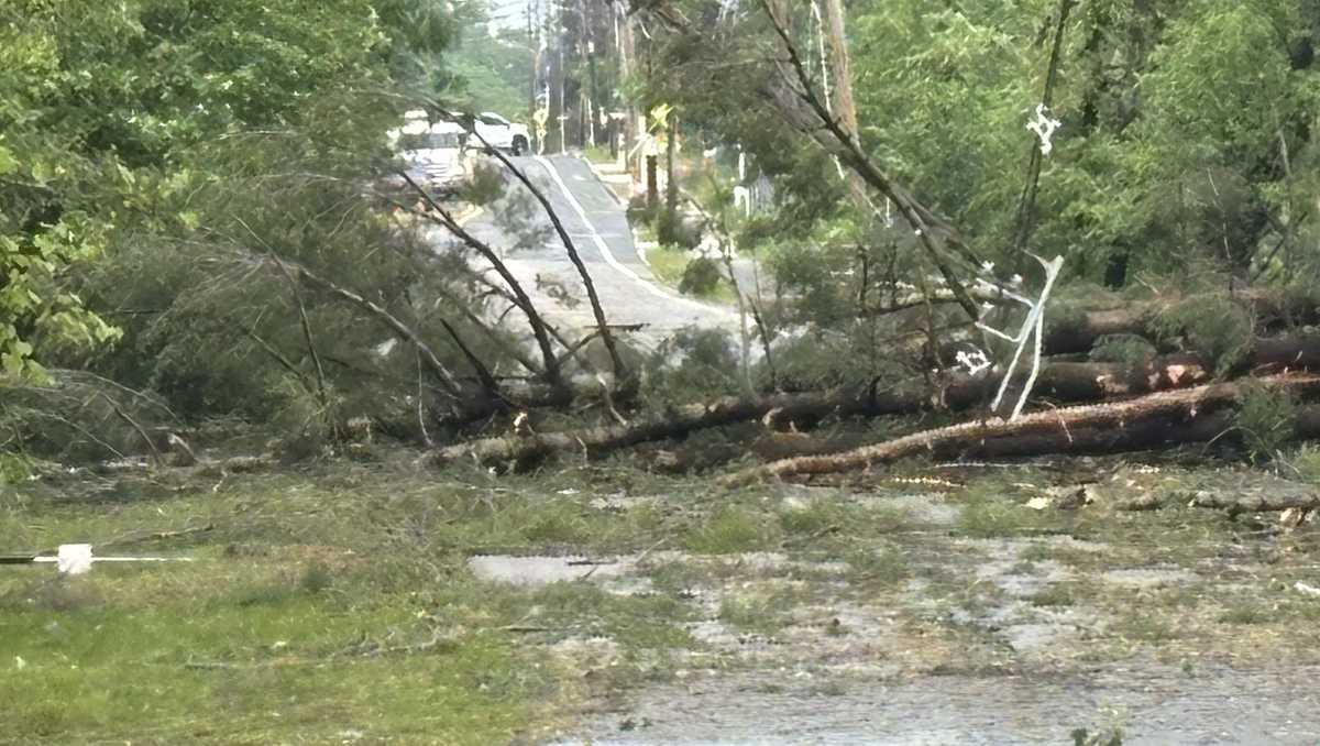 Severe Storms Cause Fallen Trees, Power Outages, Road Closures Across Multiple US States
