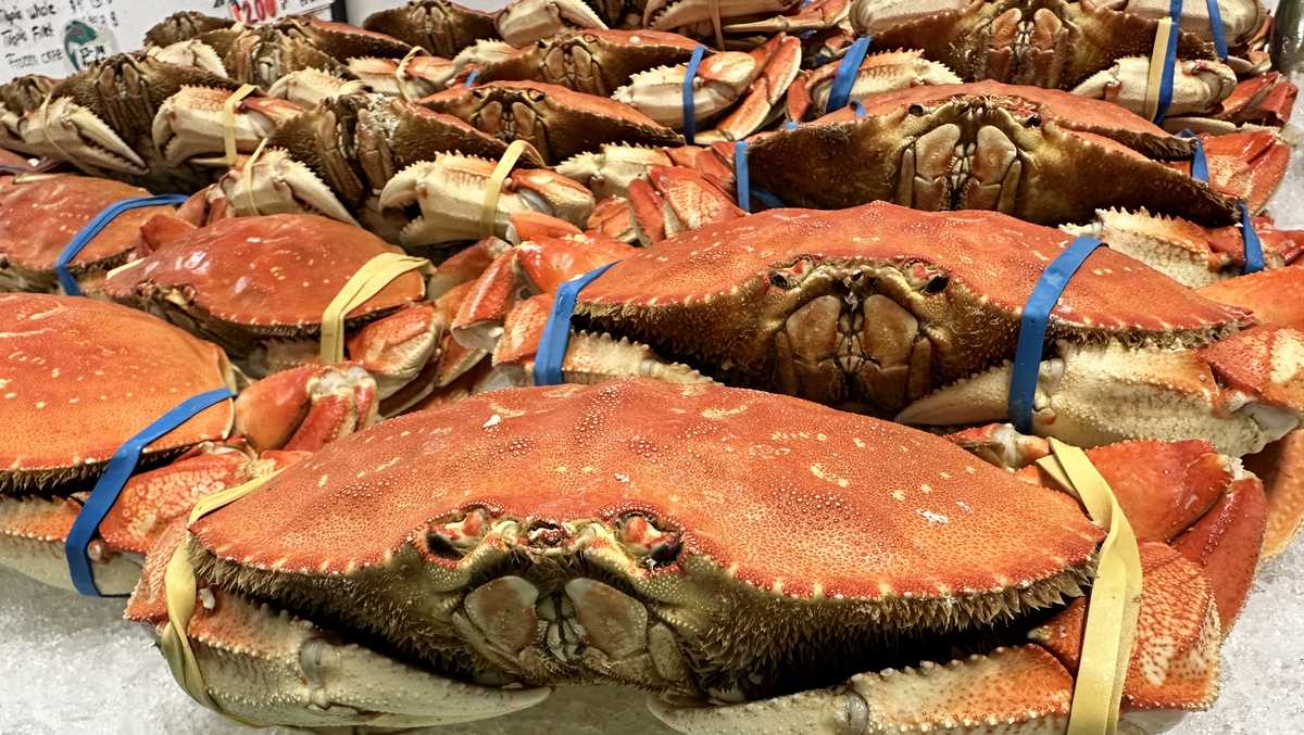 California crab season finally opens but storm keeps fisherman in port