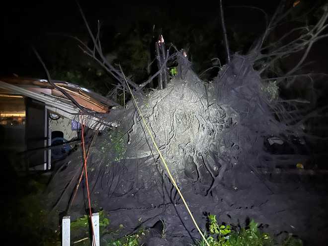 tree falls on house during hurricane milton in cape coral