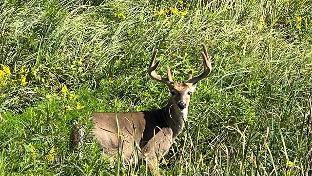 Man nearly killed in hunting incident: 'Make sure of your target' - Vimarsana News