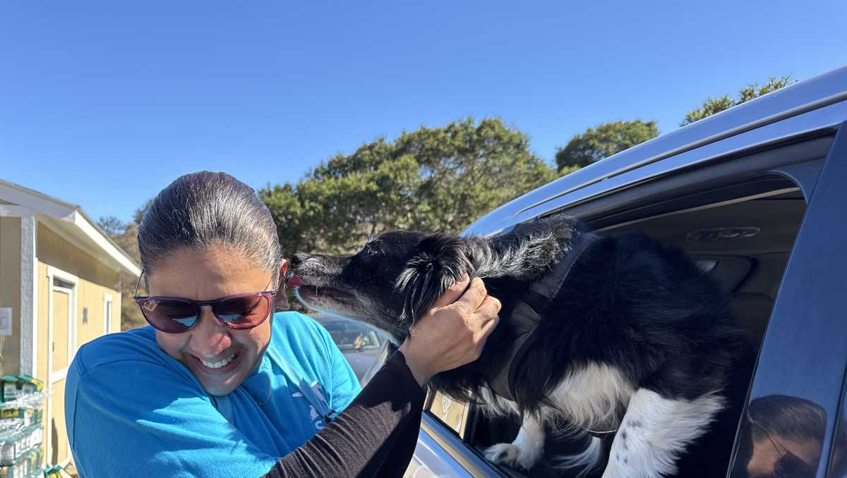 SPCA Monterey County struggles with low pet food supplies amid rising demand