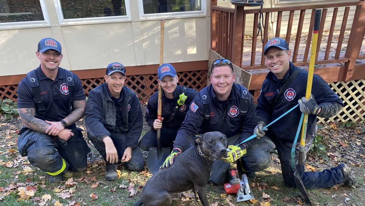 Watch: Blue Ash Firefighter Rescue Small Dog Trapped Under Patio