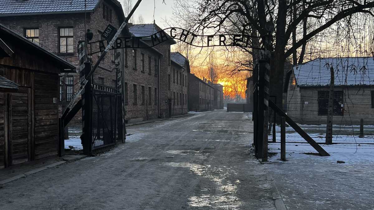 American millennials, Gen Z lack basic Holocaust knowledge, survey shows