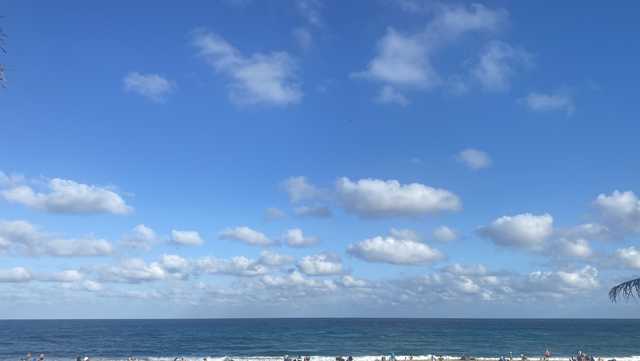 Fun things to do in Florida this weekend - Vimarsana News