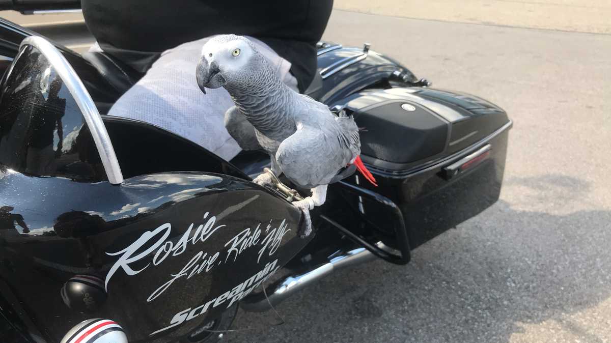 daft punk motorcycle helmet for sale - Thomas Bangalter Silver Mask TUMI Alpha Bravo Navigation rim Head size Size:Double