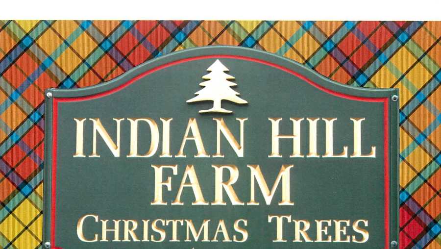 Viewers' Choice 2017 Best Christmas tree farm