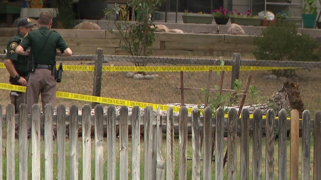 Iowa boy killed in 'tragic accident' in Colorado - Vimarsana News