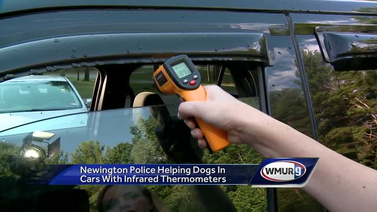 Donated infrared thermometers help police aid dogs in hot cars