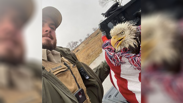 Oklahoma game warden finds injured bald eagle in field - Vimarsana News