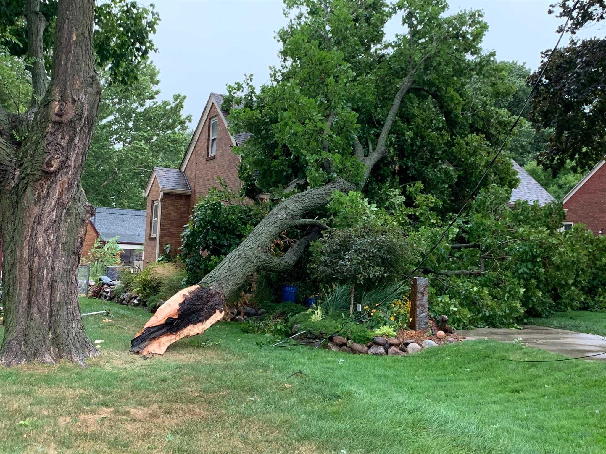 Powerful derecho leaves path of devastation across Midwest - WVTM