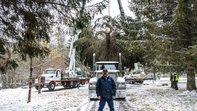 Truck driver from Griswold, Iowa, delivers giant Christmas tree to US Capitol - Vimarsana News