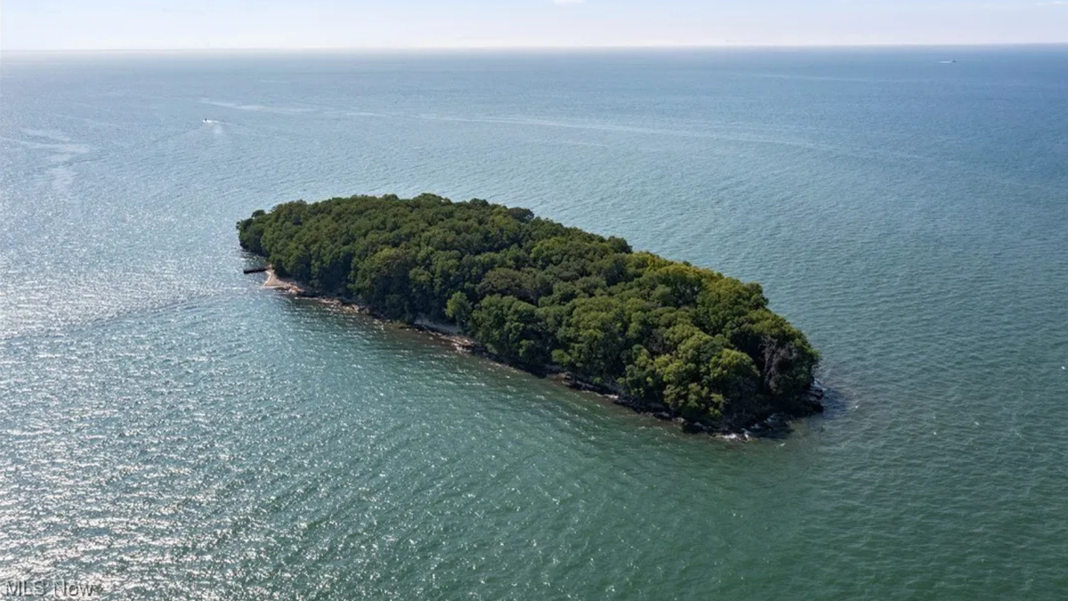 Want to own a private island? This one in Ohio is up for sale for $5 million