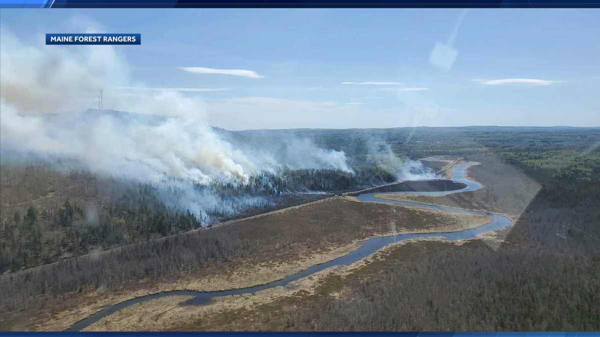 Maine Forest Service suspends online burn permits due to