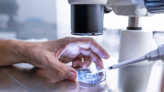 Kentucky senator files bill to protect IVF following Alabama ruling - Vimarsana News