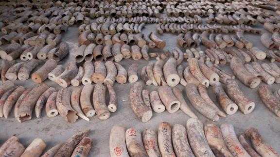 Singapore seized a shipment of almost 10 tons of ivory, the largest seizure of its kind in the nation's history.