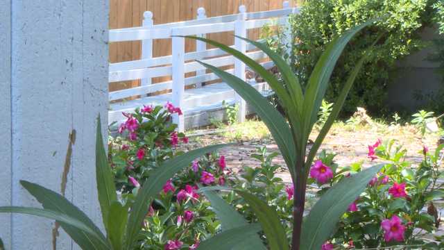 Jack Myers House opening as refuge for LGBTQIA+ community