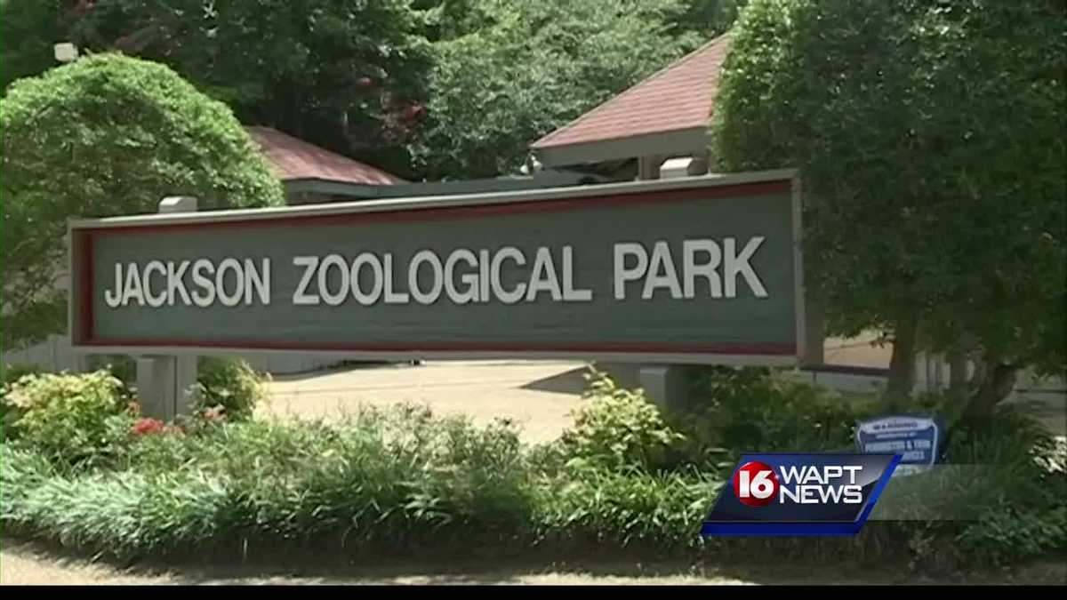 Mother's Day at the Jackson Zoo