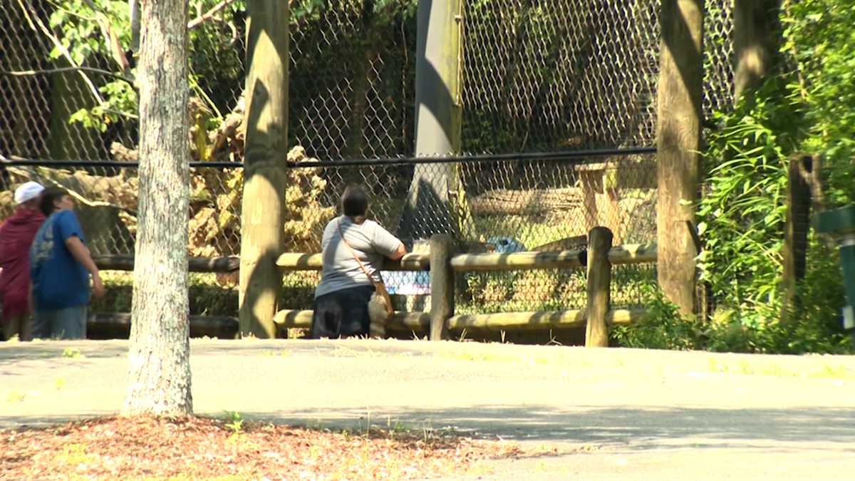‘We should really not hurry into any rapid decision,’ councilman suggests ‘We should really not hurry into any rapid decision,’ councilman suggests