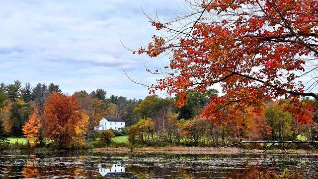 New England foliage forecast: Peak colors coming soon to more of Massachusetts - Vimarsana News