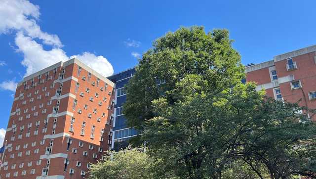 Allegheny County Jail: Union president claims safety concerns - Vimarsana News