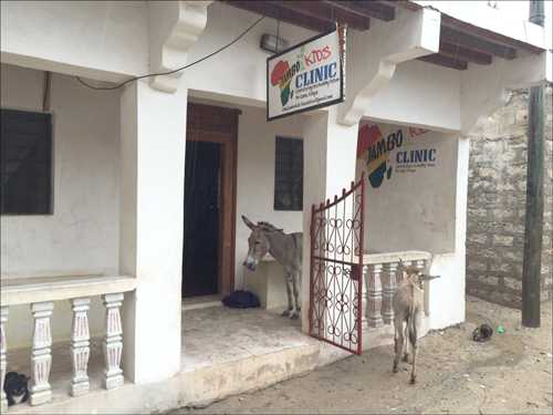 Jambo Café: New Mexico’s African-Caribbean cuisine