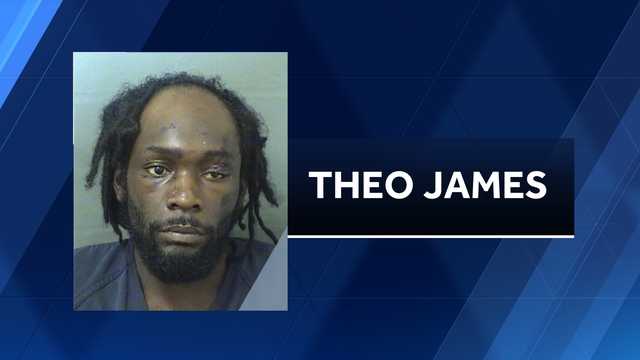 Florida vehicular homicide case - Vimarsana News
