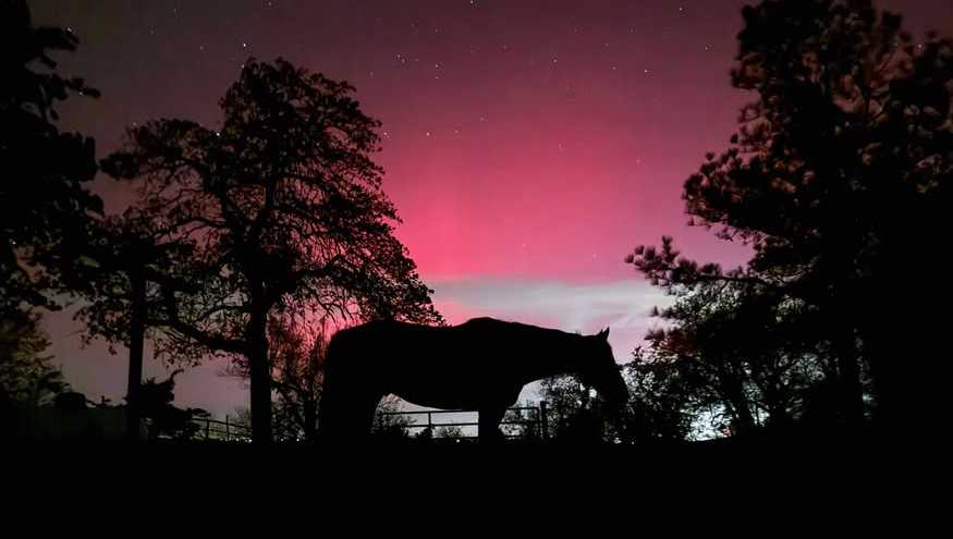 PHOTOS: Oklahomans share pictures of Northern Lights