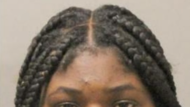 New Orleans woman accused of stabbing people during fight