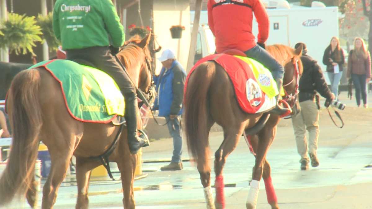 2 Japanesebred horses competing in 149th Kentucky Derby
