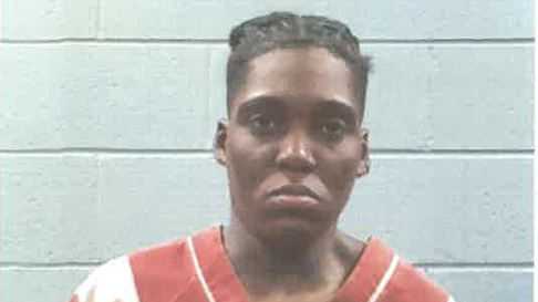 Vegan CBD Gummies by Not Pot