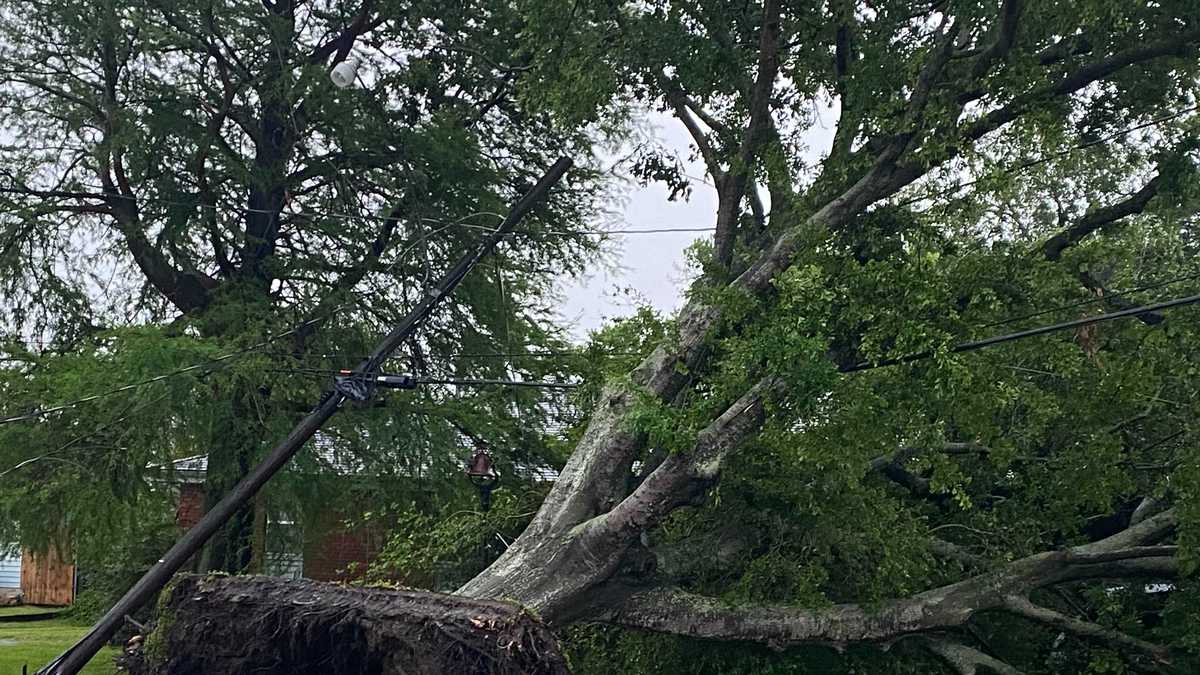 Photos: Severe Weather Causes Damage Across Southeast, La