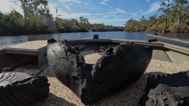 Florida man finds fully intact mammoth jaw while diving in river - Vimarsana News