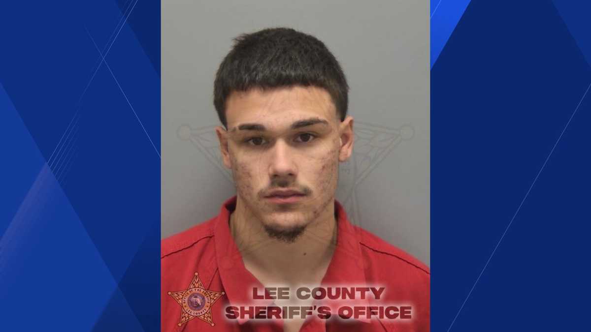 Cape Coral police arrest second teen in connection with car burglary spree