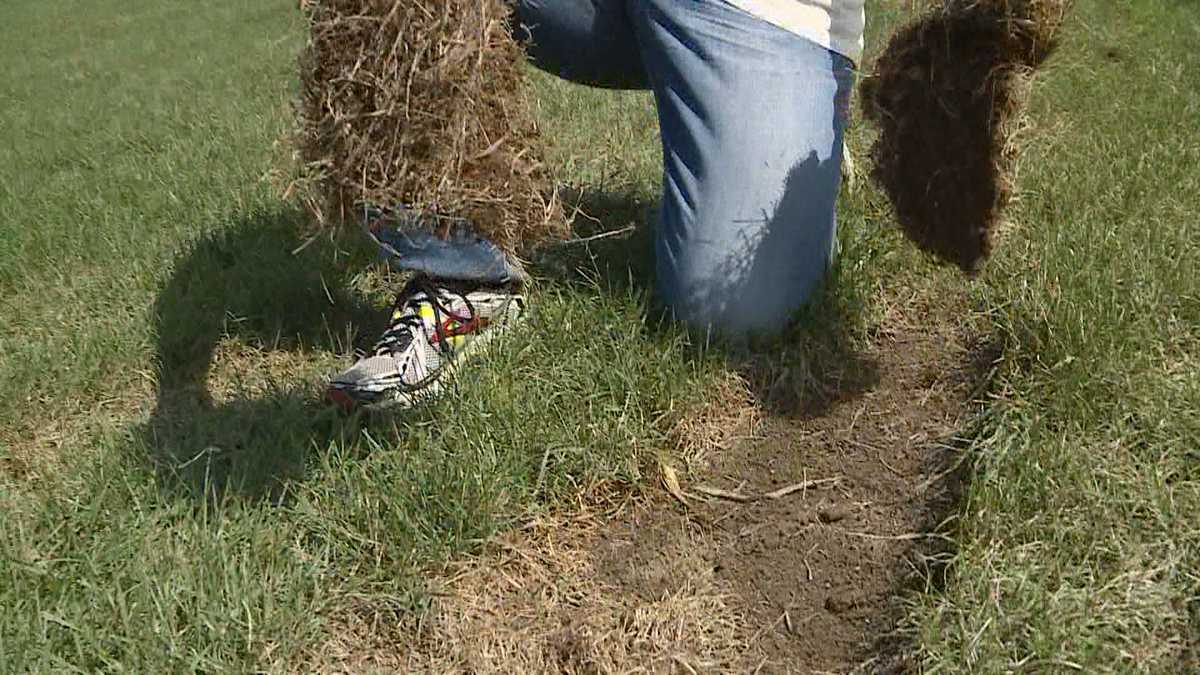 New Hinesburg recreational field vandalized