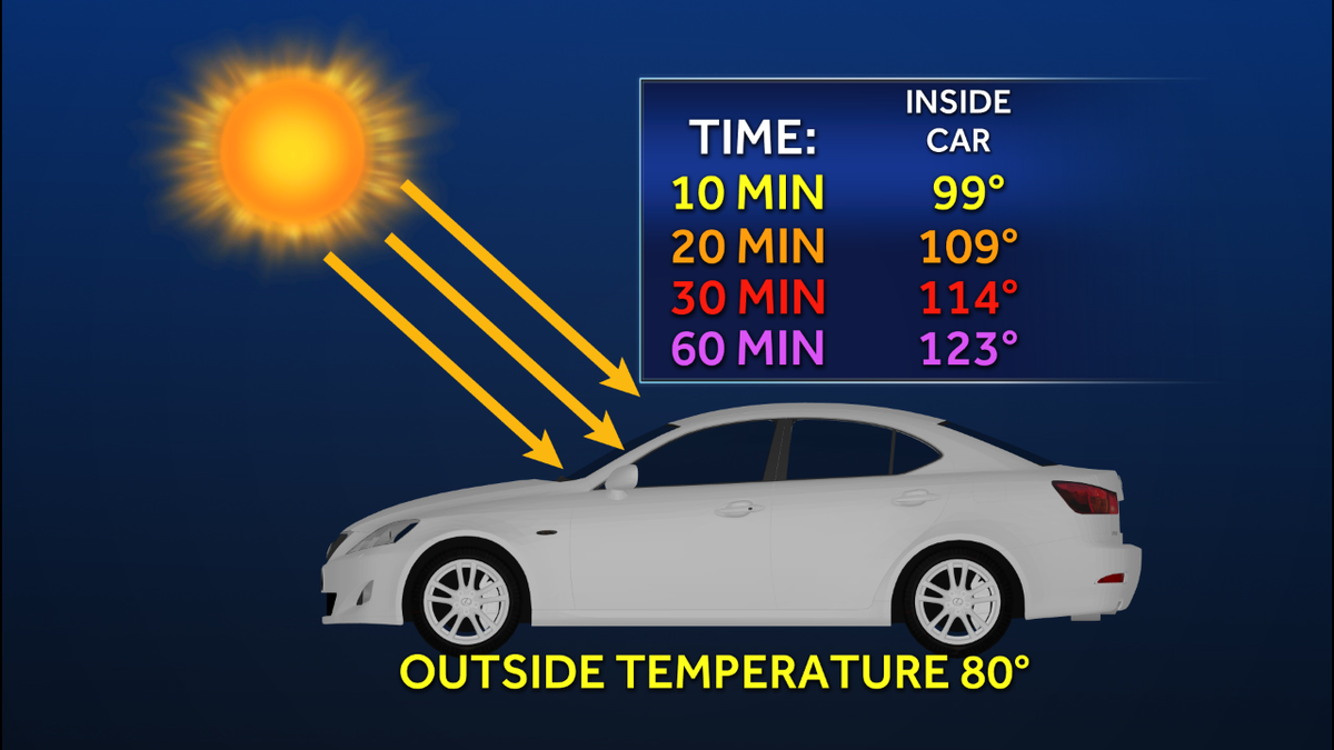 Just how fast a car can heat up in the sun