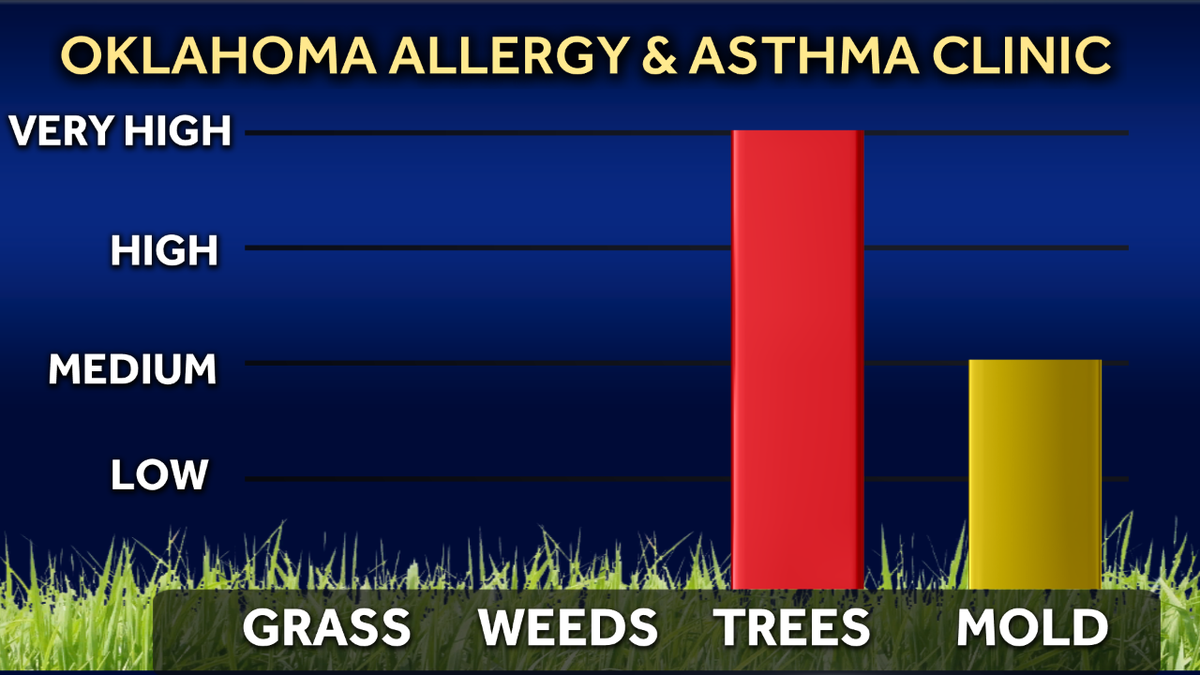 Allergy Alert: Cedar pollen at very high levels