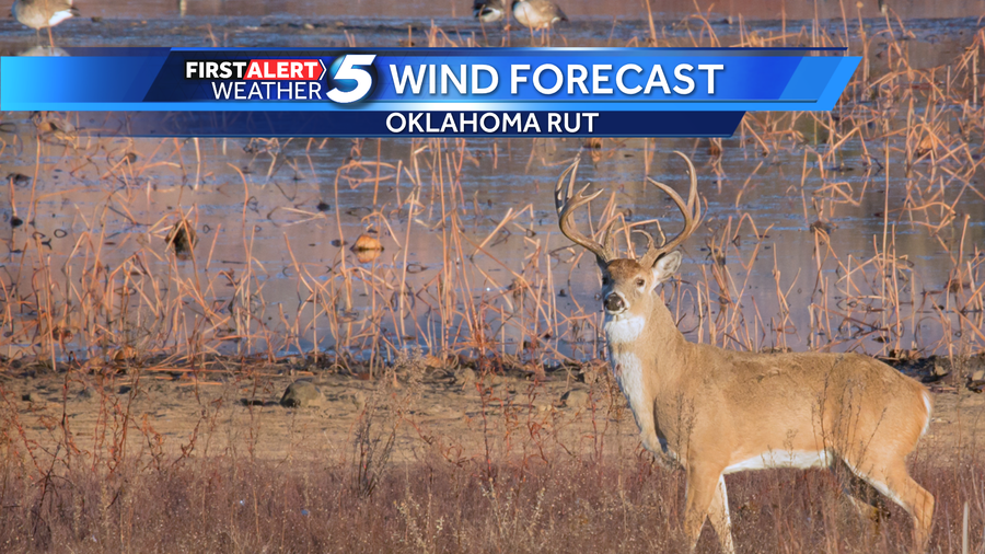 Oklahoma whitetail deer rut wind forecast