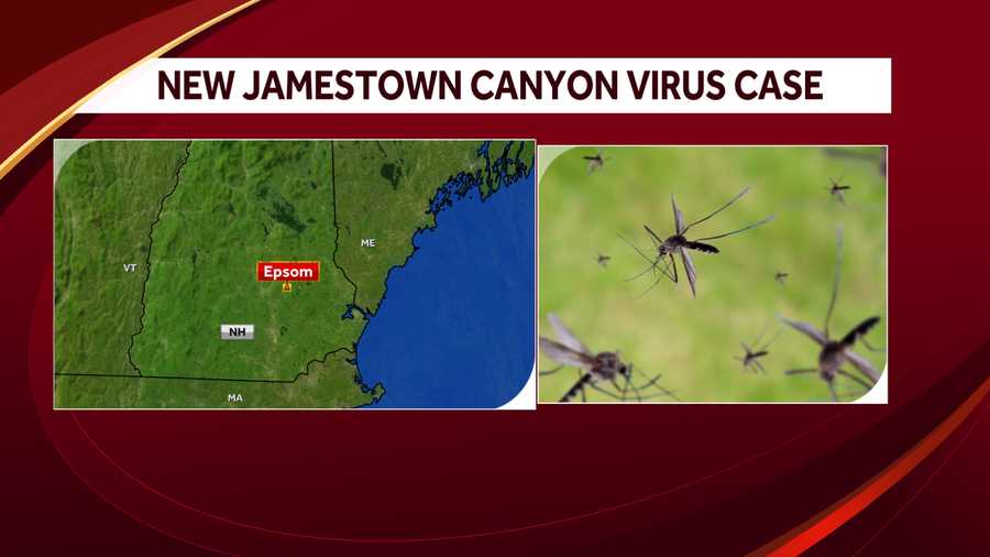 4th human case of Jamestown Canyon virus this season announced by NH