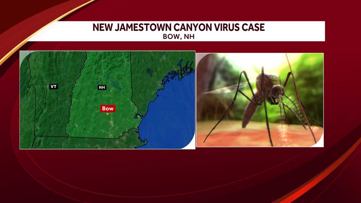Adult from Bow, New Hampshire, tests positive Jamestown Canyon virus