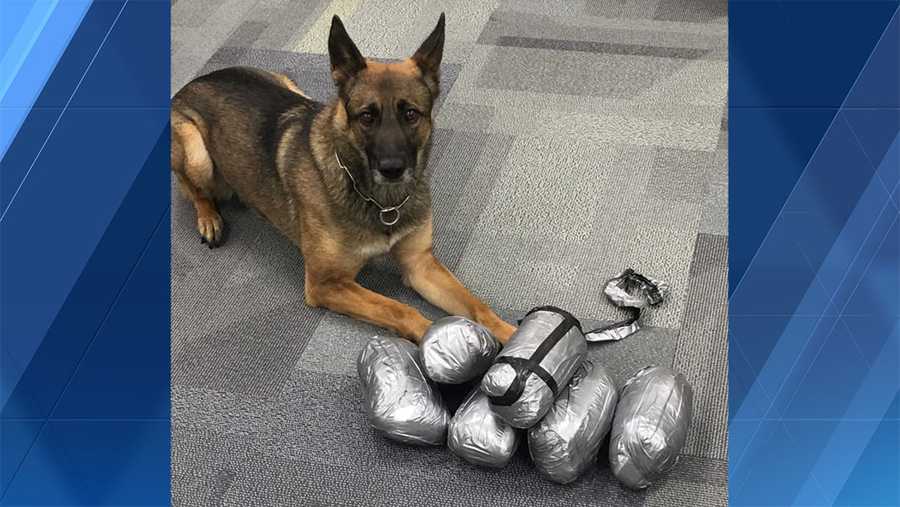 Police, K-9 officer find 14 pounds of meth during traffic stop
