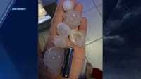 ﻿Hail the length of batteries was found in Hobe Sound.