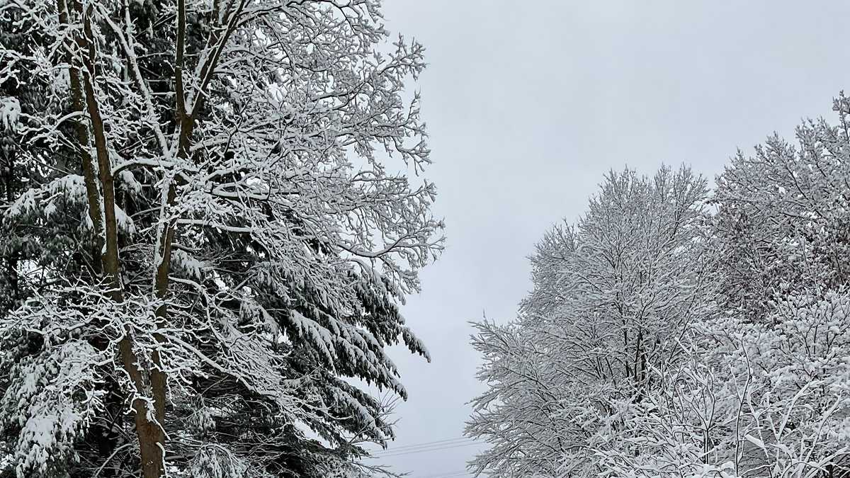 How much snow fell in Maryland on Sunday | Photos