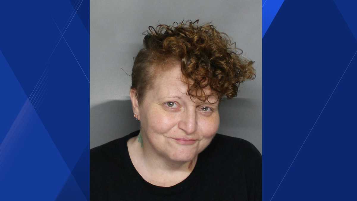 Punta Gorda woman arrested after deputies discover drugs and dead cats ...